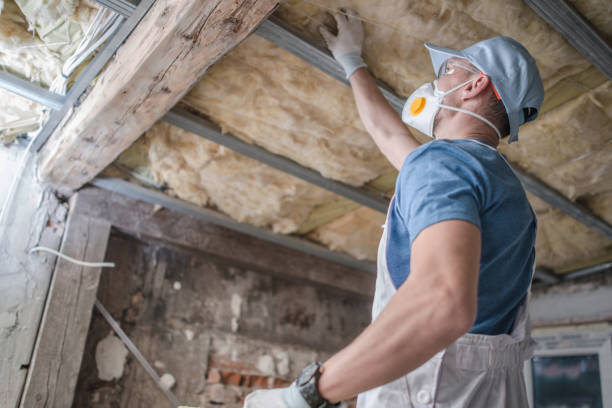 Best Specialized Insulation Services in Oxford, GA